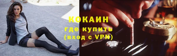 mdpv Богородск