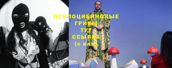 MDMA Богородицк