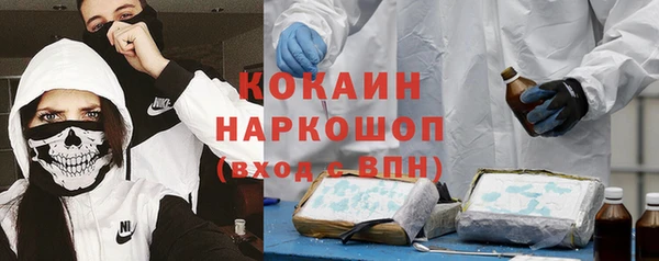 mdpv Богородск